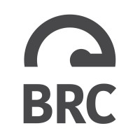 Brain Robotics Capital logo - Similar company to Yowo Studio