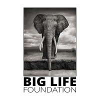 Big Life Foundation logo - Similar company to Sheldrick Wildlife Trust