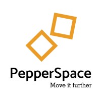 Pepperspace Consulting Services logo - Similar company to Pepper Space