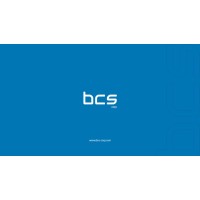 Business Consulting and Solutions logo - Similar company to Dynaminqs