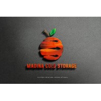 Madina Cold Storage logo - Similar company to Coolpoint