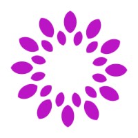 LeoBrain logo - Similar company to Comsci Technologies