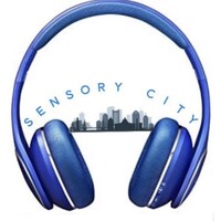 Sensory City logo - Similar company to The Write Shop