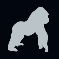 Silverback Consultants International logo - Similar company to Parallelops