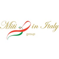 MITI IN ITALY GROUP SRL logo - Similar company to Salbini