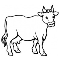 Fazenda Nova Aurora