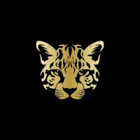 Ocelot Capital Group logo - Similar company to Ocelot Capital