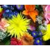 Rosie Posies