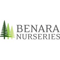 Benara Nurseries logo - Similar company to Metariser