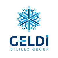 Geldi Dilillo Group logo - Similar company to Coastlink B.V.