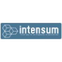 INTENSUM logo - Similar company to Sapsol Services