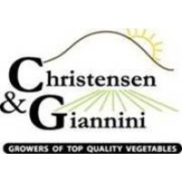 Christensen & Giannini, LLC logo - Similar company to Rava Ranches, Inc.