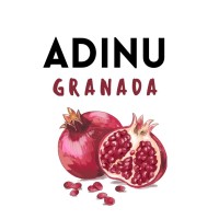 ADINU Granada logo - Similar company to Sport Training System