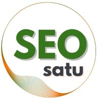 SEOsatu logo - Similar company to Coolva Technology