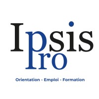 IPSIS PRO logo - Similar company to Ipsis Esat Open Provence