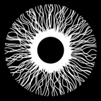 dtproject logo - Similar company to Eleva