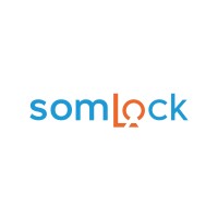 somLock   | VMS Elektronik logo - Similar company to Düş Fırçası