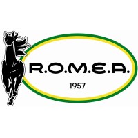 R.O.M.E.A. srl - Rifornimento Olii Minerali ed Affini logo - Similar company to Publimedia S.R.L.