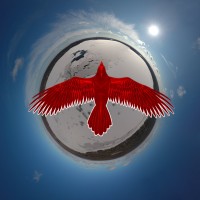 Red Raven