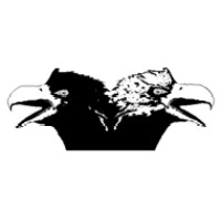 Two Eagles logo - Similar company to Two Eagles, L.L.C.