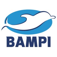 BAMPI logo - Similar company to Ventmann Global