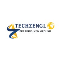 Techzenglo Service logo - Similar company to E2E Management Services