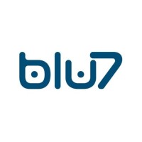 Blu7 logo - Similar company to 4Digitaldots