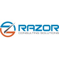 Razor Consulting Solutions logo - Similar company to Bng Payments