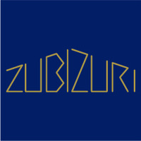ZUBIZURI.PT logo - Similar company to Casaplus