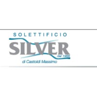 Silver Solettificio logo - Similar company to Lnr Srl