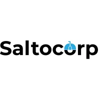 Salto Corp logo - Similar company to The Magic Tree