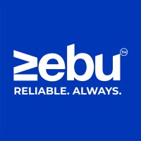 ZEBU Share and Wealth Managements Pvt. Ltd logo - Similar company to Brainyjuice