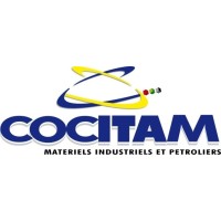 COCITAM logo - Similar company to Ditech Consulting Group