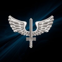 Força Aérea Brasileira - FAB logo - Similar company to Brazilian Army (Exército Brasileiro)