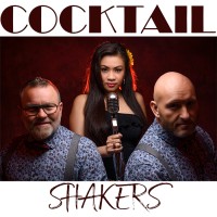 CocktailShakers Live Band logo - Similar company to Onderzoekcentrum.Eu