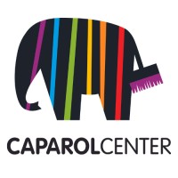 Caparol Center - Bourg en Bresse - Les peintures de l'Ain logo - Similar company to Vr Office Consult