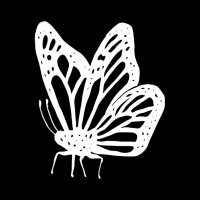 Social Butterfly