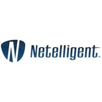 Netelligent logo - Similar company to Boxcom Pty Ltd