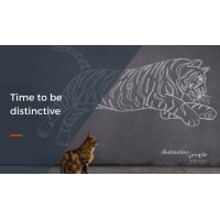 Distinctive People HR & OD Ltd logo - Similar company to A Different View