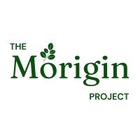 The Morigin Project logo - Similar company to Labodi - Laboratorio Di Idee
