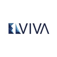 ELVIVA logo - Similar company to Proforce Industry Uab