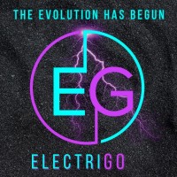 ElectriGo Global Ltd logo - Similar company to Vulcan Industries Plc