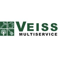 Veiss Multiservice logo - Similar company to Diseño Web Veiss Comunicación