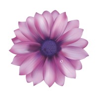 Asociación cáncer de páncreas logo - Similar company to Bufete Elcano