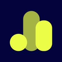 Analysisly logo - Similar company to Datagpt