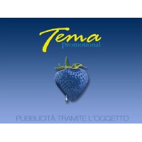 Tema Promotional Gifts logo - Similar company to Sbabam