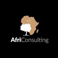 AfriConsulting logo - Similar company to Africonsulting & Audit