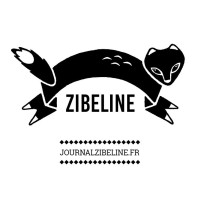 Journal Zibeline logo - Similar company to Infosyst