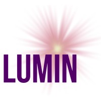 This is LUMIN logo - Similar company to Gains