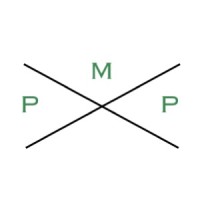 Private Market Partners logo - Similar company to Walser & Partner Ag
